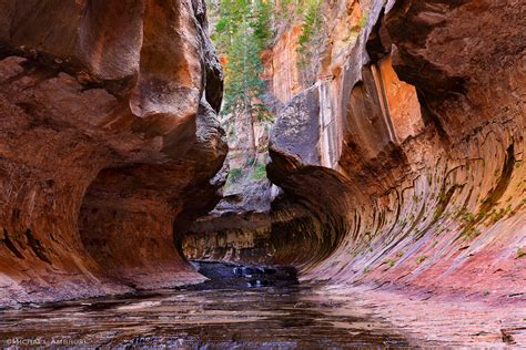 Subway Canyon | Zional National Park, Utah | Michael Ambrose Photography