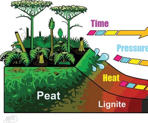 How Fossil Fuels Are Formed - Instructables