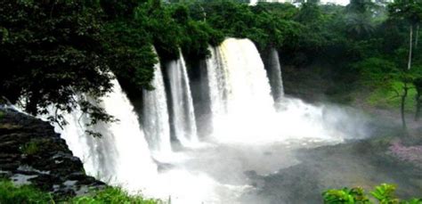 Cross River National Park - Guide to Nigeria tourism, local culture ...