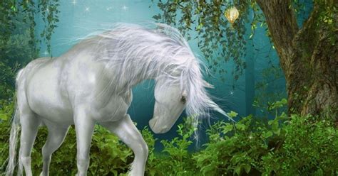 Inspirational Unicorn Quotes - Magical Unicorn Life