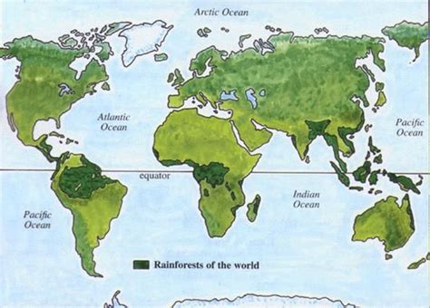 Map of Rainforests of the world. | Rainforest map, Rainforest, World geography