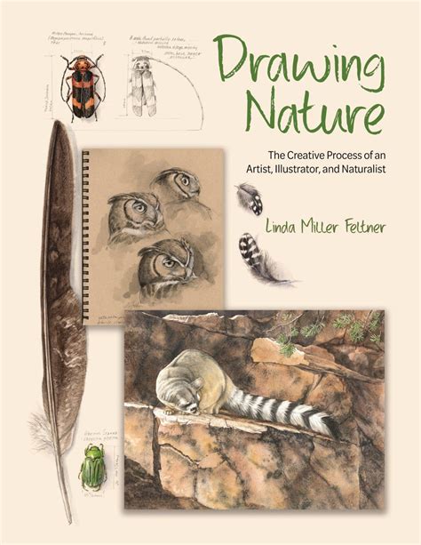 Drawing Nature | NHBS Academic & Professional Books