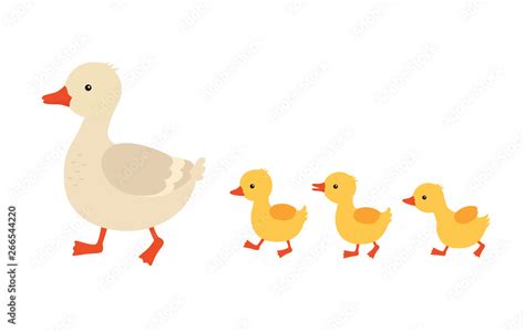 Mother duck and ducklings. Cute baby ducks walking in row. Cartoon ...