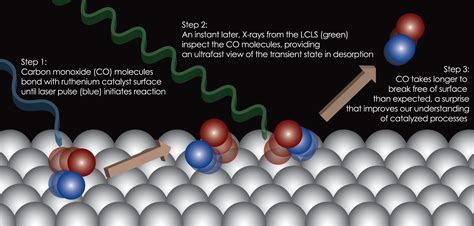 Catalyst Chemical Reaction