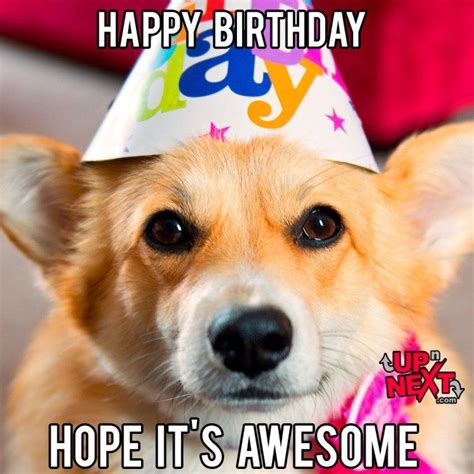 Cute Birthday Memes For Him - Funny Memes