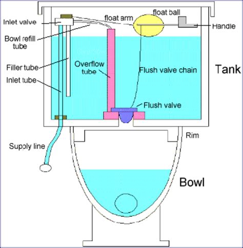 einfach Persona Semaphor toilet mechanism Klassifizieren Wischen Sie ...