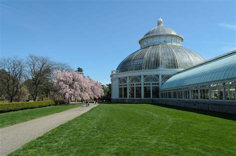 Le jardin botanique de New York, le plus grand jardin des États-Unis - CNEWYORK