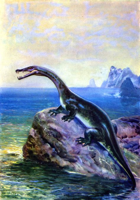 Image - Nothosaurus by zdenek burian 1962.jpg | Dinosaur Wiki | Fandom ...