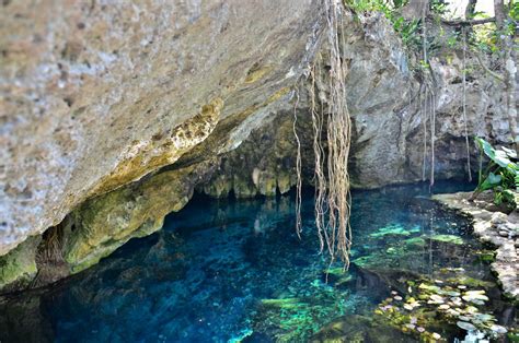 Scuba Diving in Gran Cenote, Mexico - Dive Site - Divebooker.com