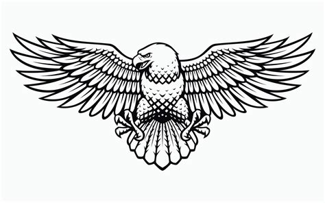 American Eagle Vector 5885052 Vector Art at Vecteezy