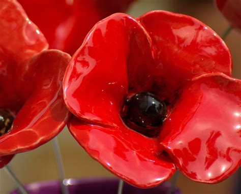 Plastic Red Poppies flowers image - Free stock photo - Public Domain ...