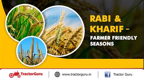 Rabi and Kharif Season - Farmers Friendly Seasons for Cultivation in India