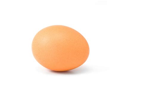 An Egg Free Stock Photo - Public Domain Pictures