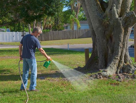 Homemade Dry Lawn Fertilizer Recipes | Besto Blog