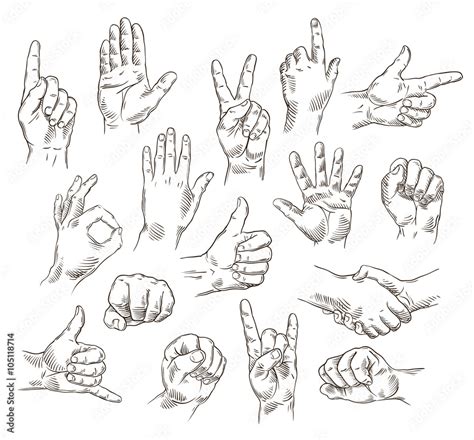 Vector set of hands and gestures - outline illustration Stock Vector ...