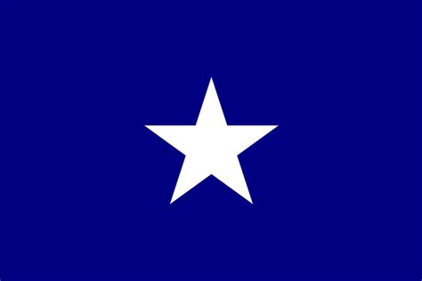 The Bonnie Blue Flag for Sale | Colonial Flag