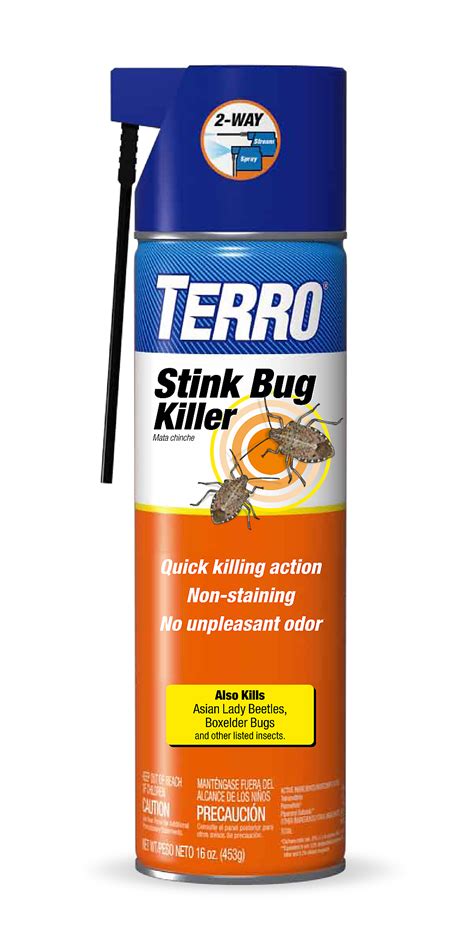 Brown Marmorated Stink Bug Facts & Information | Terro®