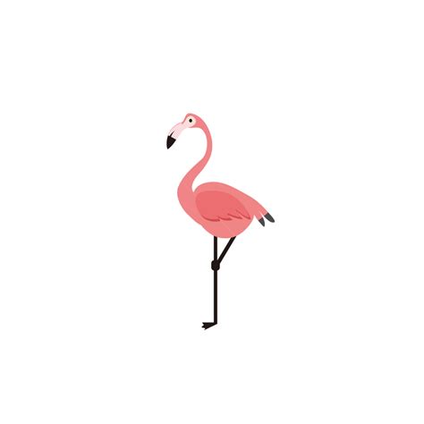 Pink Flamingo Vector Painting, Pink, Flamingo, Long Legs PNG Transparent Clipart Image and PSD ...