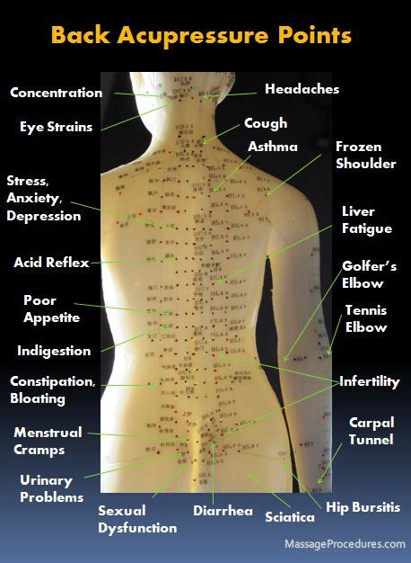 59 Best pressure points for headaches ideas | acupressure, massage therapy, pressure points