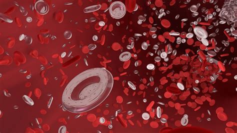 Mengenal Sel Darah Merah: Pengertian, Fungsi, 7 Ciri Dan Strukturnya » 2024
