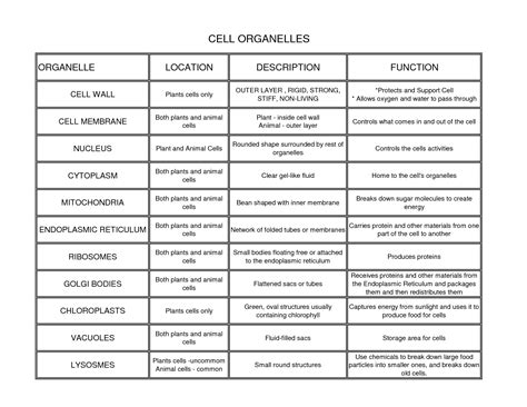 11 Best Images of Cell Function Worksheets 6th Grade - Plant and Animal Cell Worksheets 5th ...