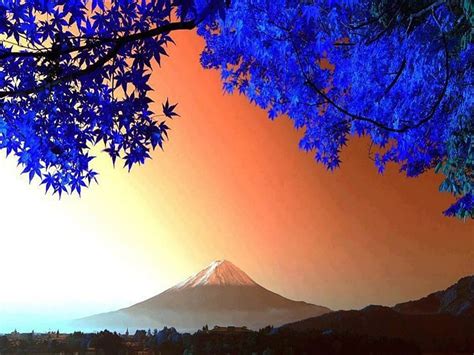 1920x1080px, 1080P Free download | Beautiful View, blue, orange sky, trees, view, beautiful ...