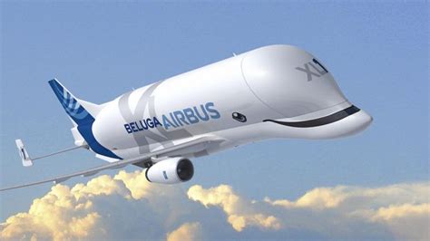 Beluga XL Airbus replaced the Airbus Beluga - A cargo aircraft