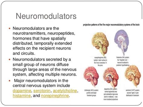 Neuromodulation