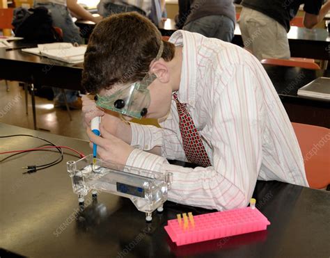 Student experimenting with DNA - Stock Image - H460/0619 - Science Photo Library