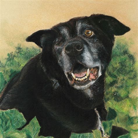 Soft Pastel Pet Portraits | Domestika