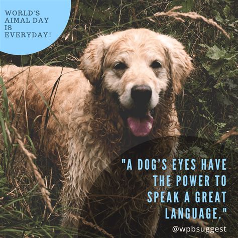 World Animal Day Quotes & Images 2019 | Whatsapp & Instagram Wishes