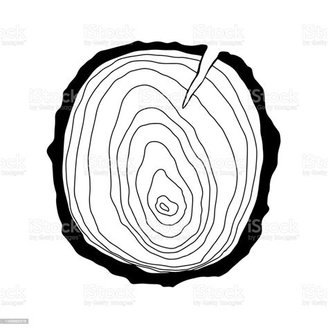 Wooden Round Panel With Texture Vector Monochrome Illustration Isolated On White Stock ...