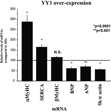 YY1 represses fetal gene expression and activates adult gene expression... | Download Scientific ...