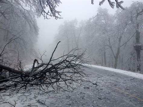 Snow and Ice damage in Virginia image - Free stock photo - Public ...