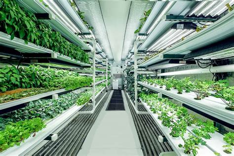 What Is Vertical Farming? | Pure Greens Container Farms