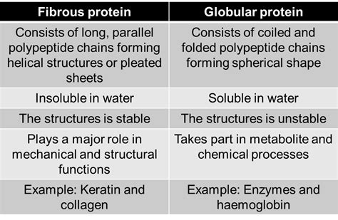 Suka Chemistry: Compare between fibrous protein and globular protein