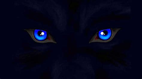 Wolf Eyes Wallpapers HD free download