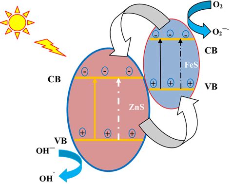 Schematic representation of photo-catalytic degradation mechanism | Download Scientific Diagram