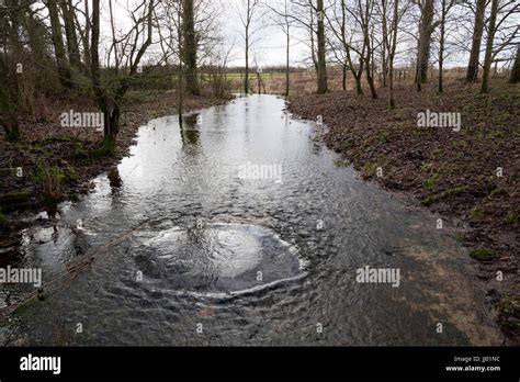 Thames Head (the source of the River Thames), near Kemble, Cotswolds, Gloucestershire, England ...