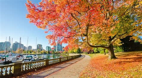 10 places to see fall leaves in and around Vancouver | Daily Hive Vancouver