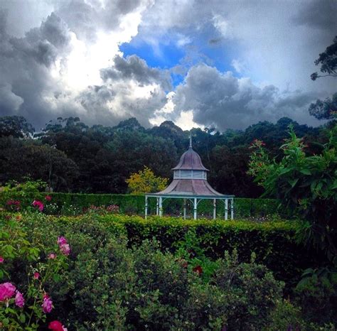 Botanic garden Wollongong, Australia. | Wollongong, Favorite places, Holiday destinations