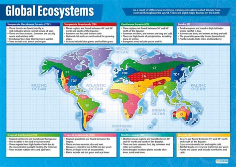 Global Ecosystems | Geography Posters | Laminated Gloss Paper measuring ...