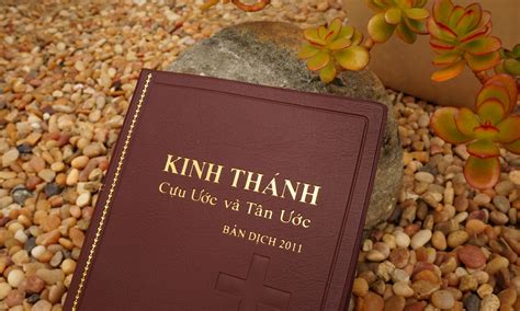 Kinh Thánh BD2011 – KINH THÁNH BẢN DỊCH 2011