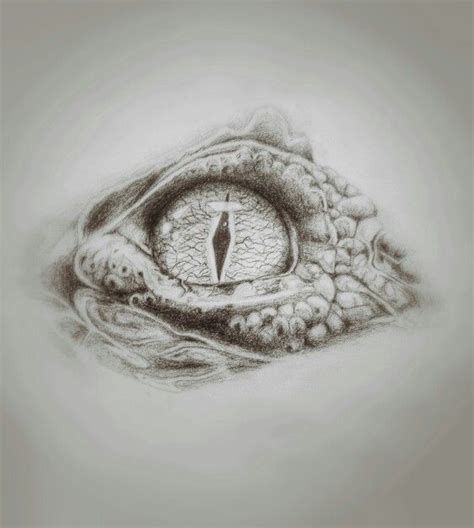 Crocodile eye | Crocodile eyes, Reptile eye, Eye illustration