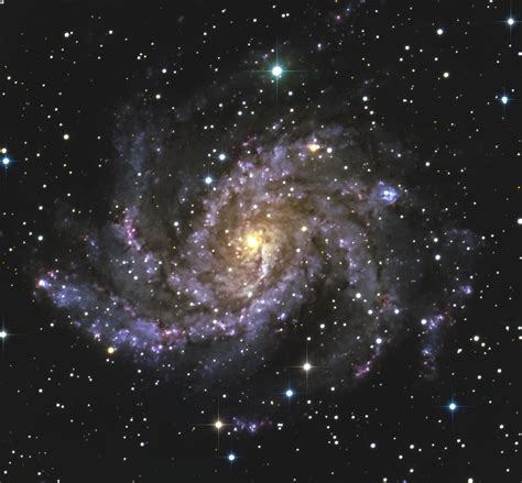 NGC 6946 The Fireworks Galaxy | Data taken by Pete Williamso… | Flickr