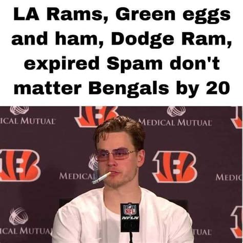 Bengals Memes Phenomenon Bengals Memes for famous with American ...