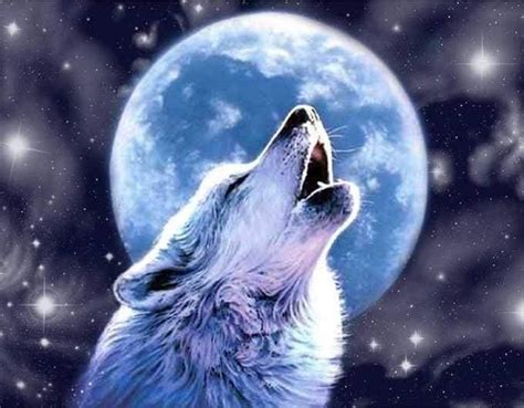 White Wolf - Full Moon Winter Night | Wolf howling at moon, Wolf ...