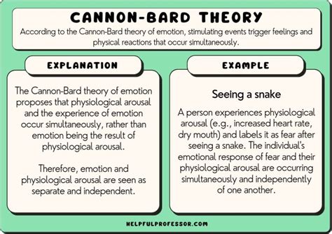 10 Cannon-Bard Theory Examples & Definition (2024)