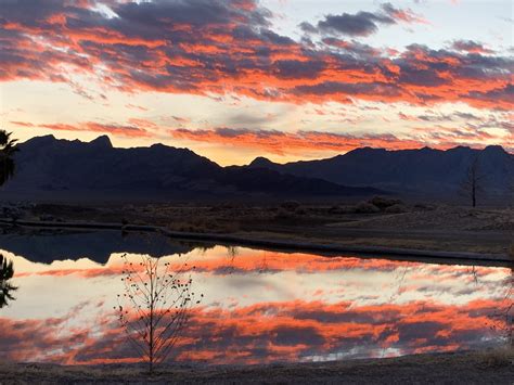 Visit Amargosa Valley: 2024 Travel Guide for Amargosa Valley, Nevada | Expedia