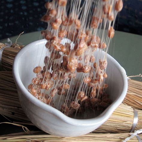 Sticky sticky natto article in the Japan Times | JustHungry